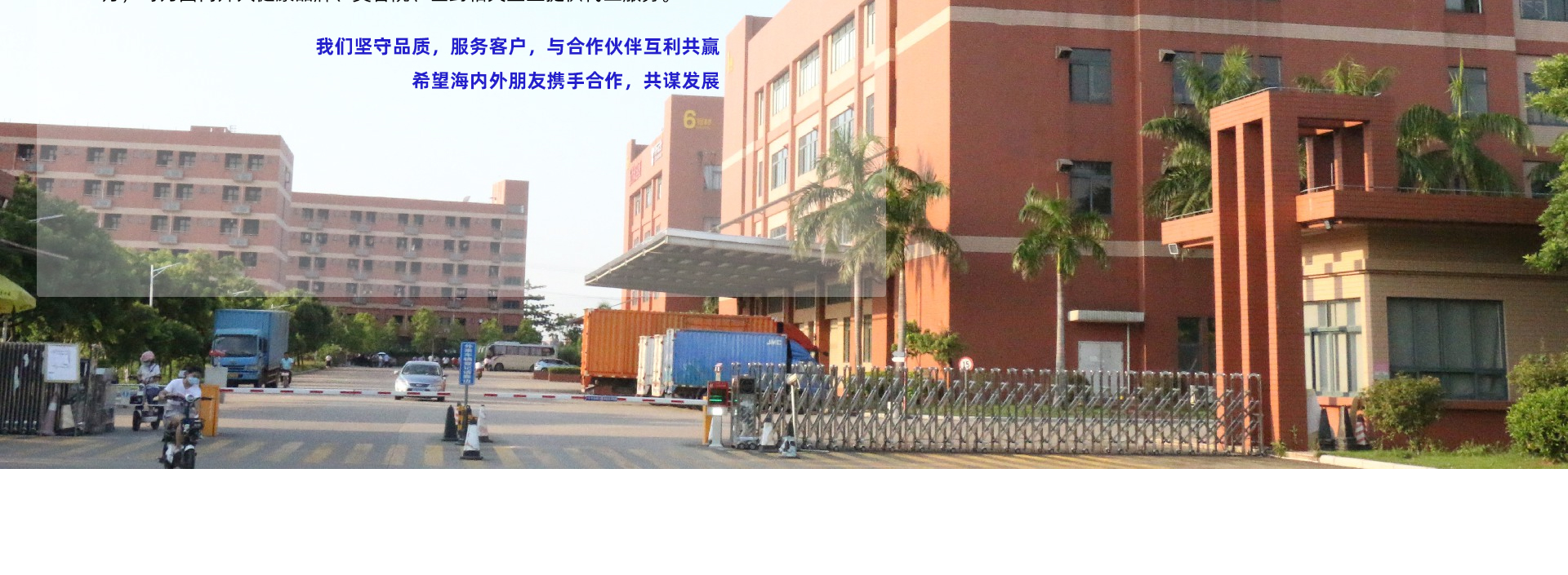 定制益生元益生菌压片糖果控制食欲体重管理胶原蛋白肽片剂代加工